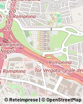 Via Emanuele Carnevale, 75,00173Roma