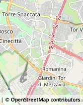 Via del Casale Ferranti, 35,00173Roma