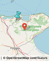 Impianti Idraulici e Termoidraulici,71015Foggia