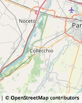 Macellerie,43100Parma