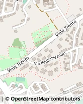 Viale Trento, 44,05100Terni