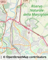 Via dei Prati Fiscali, 263,00141Roma