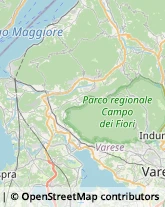 Autofficine e Centri Assistenza,21034Varese