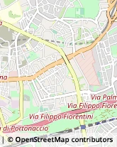 Palestre e Centri Fitness,00157Roma