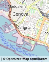 Via Corsica, 21,16128Genova