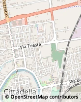 Via Vittorio Veneto, 19,35013Cittadella