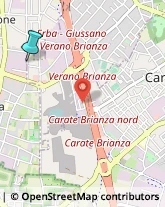 Palestre e Centri Fitness,20833Monza e Brianza