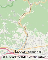 Strada Comunale di Partigliano, 34,55023Guardistallo