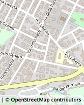 Viale Vittorio Veneto, 221,41058Vignola