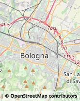 Via Gino Onofri, 5,40134Bologna