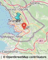 Imprese di Pulizia,34138Trieste