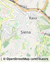 Via Delle Terme, 6,53100Siena