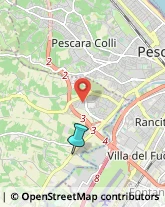 Palestre e Centri Fitness,65010Pescara