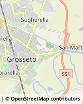 Autofficine e Centri Assistenza,58100Grosseto