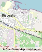 Via Bruni Abate, 90,70052Bisceglie