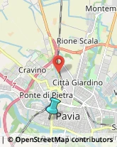 Feste - Organizzazione e Servizi,27100Pavia