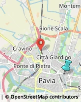 Locali, Birrerie e Pub,27100Pavia