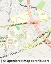 Via Monteroni, 165,73100Lecce