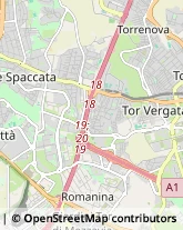 Via Vincenzo Manzini, 135,00173Roma