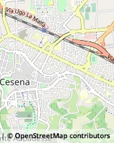 Viale Giosuè Carducci, 101,47521Cesena