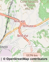 Autotrasporti,05100Terni