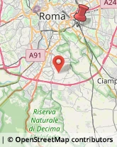 Via Paolo Albera, 45,00181Roma