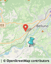 Agenti e Rappresentanti di Commercio,32020Belluno