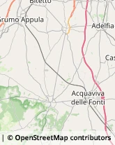 Via Fratelli De Filippo, 69,70020Cassano delle Murge