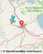 Tappezzieri,71036Foggia