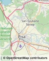 Pelli e Pellami - Produzione e Vendita,56121Pisa