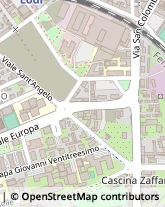 Viale Sant'Angelo, 7,26900Lodi