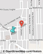 Palestre e Centri Fitness,81025Caserta