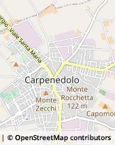 Via Cesare Deretti, 33,25013Carpenedolo