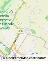 Artigianato Tipico,59100Prato