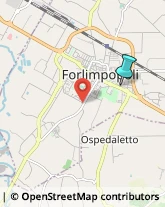 Autotrasporti,47034Forlì-Cesena