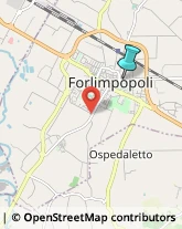 Autotrasporti,47034Forlì-Cesena