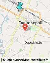 Autotrasporti,47034Forlì-Cesena