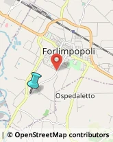 Autotrasporti,47034Forlì-Cesena