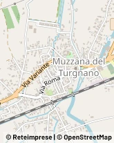 Via Molino, 1,33055Muzzana del Turgnano