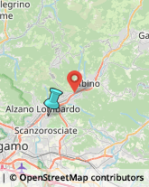 Agenzie di Animazione e Spettacolo,24020Bergamo