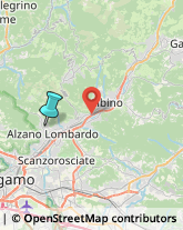 Agenzie di Animazione e Spettacolo,24022Bergamo