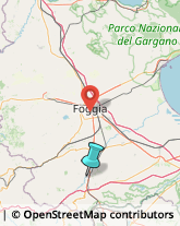 Agrumi,71022Foggia