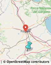 Agrumi,71022Foggia