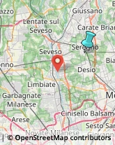 Ricami - Dettaglio,20831Monza e Brianza