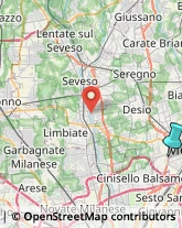 Ricami - Dettaglio,20900Monza e Brianza