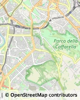 Via Cristoforo Colombo, 448,00145Roma