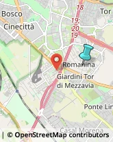 Consulenza Informatica,00173Roma