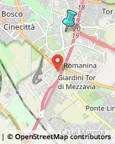 Consulenza Informatica,00173Roma