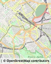 Via Gino Capponi, 70,00179Roma