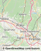 Fiere, Saloni e Mostre - Enti Organizzatori,50144Firenze